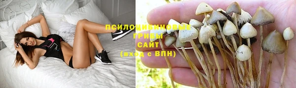 тгк Арсеньев