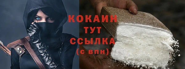 тгк Арсеньев