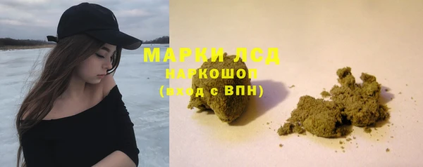 СК Аркадак
