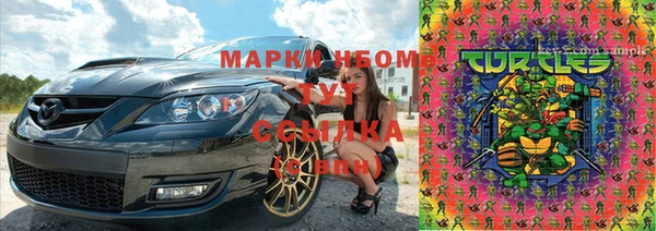 СК Аркадак